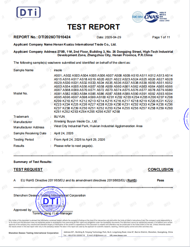 CE RoHS Certificate of Conformity